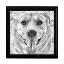 Happy Dog face wooden jewellery keepsake gift box gift boxes