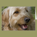 Happy Dog cards