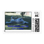 Happy Dog in summer. Postage Stamp