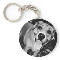 Happy Dog keychain keychains