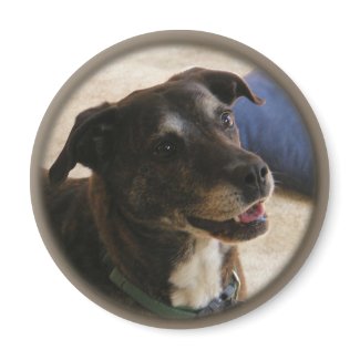 Happy Dog ~ magnet magnet