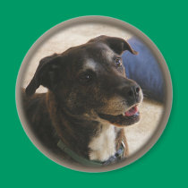 Happy Dog ~ magnet