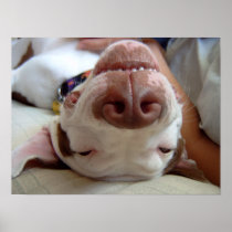Happy Dog Print