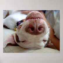 Happy Dog Print