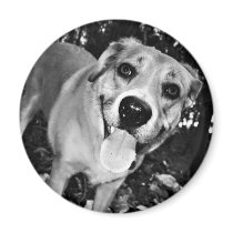 Happy Dog round magnet magnets