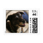 Happy Dog ~ stamp