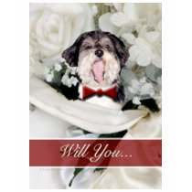 Happy Dog t-shirts