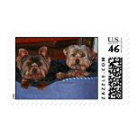 Happy dogs stamps