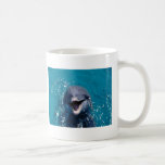 Happy Dolphin Coffee Mugs