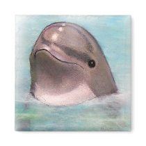 HAPPY DOLPHIN magnets