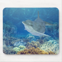 happy dolphin mouse pads