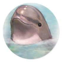 HAPPY DOLPHIN STICKER