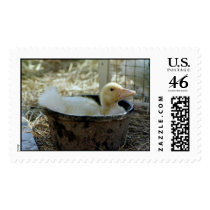 Happy Duck Postage Stamps by SecondChanceRanch Happy Duck Postage Stamps