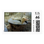 Happy Duck Postage Stamps