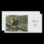 Happy Duck - Thank You photo cards