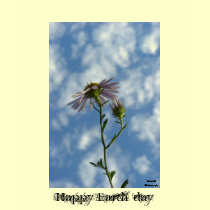 Happy Earth day t-shirts
