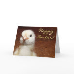 Happy Easter Baby Chicken Card
