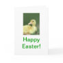 Happy Easter Baby Duck Card