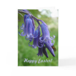 Happy Easter! "Bluebells in England" Cards