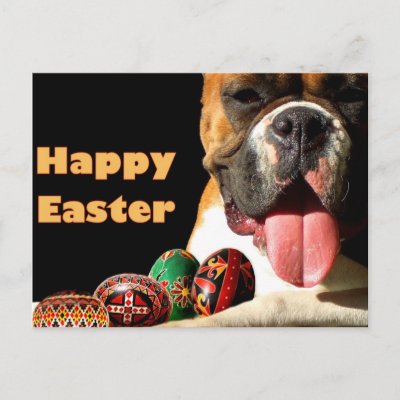 happy_easter_boxer_dog_postcard-p239801138965363075qibm_400.jpg