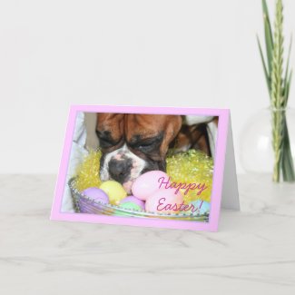 Happy Easter Boxer greeting card card