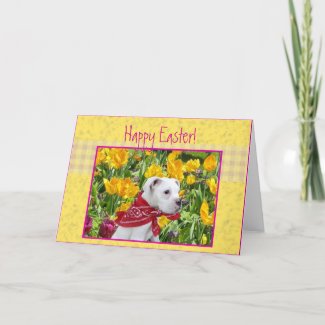 Happy Easter boxer puppy greeting card card