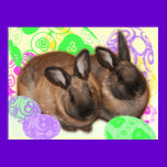 Happy Easter Bunnies and Easter Eggs posters