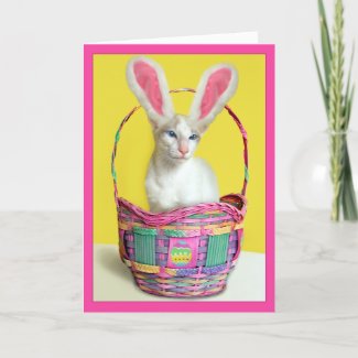 Happy Easter Bunny Cat card