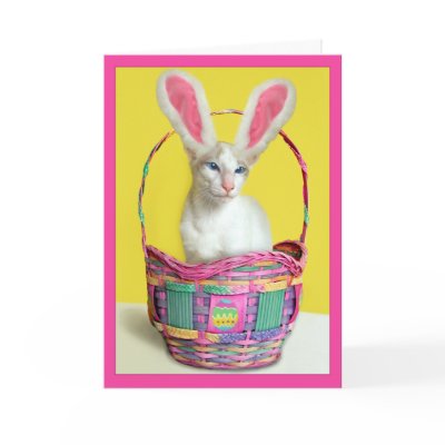 Happy Easter Bunny Cat cards