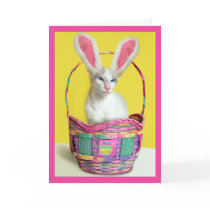 Happy Easter Bunny Cat cards