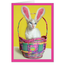 Happy Easter Bunny Cat Cards
