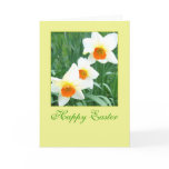 flower, flowers, yellow, white, daffodils, plants,