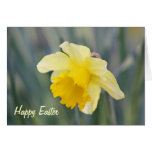 happy easter card cards