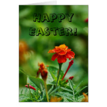 Happy Easter! Card