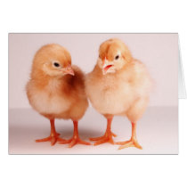 Happy Easter! cards