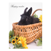 Happy easter cards