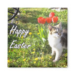 Happy Easter cat magnet