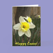 Happy Easter Daffodils Card cards