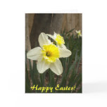 Happy Easter Daffodils Card Happy Easter Daffodils Card