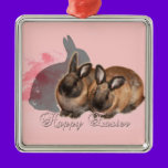 Happy Easter from 2 Easter Bunnies ornaments