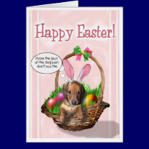 Happy Easter from a Dachshund Puppy cards