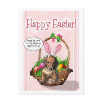 Happy Easter from a Doxie pup postcards