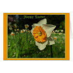 Happy Easter Greeting Card