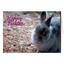 Happy Easter - Grey Rabbit Greeting Card