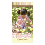 Happy Easter Happy Spring Photo Card Greeting