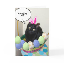 Happy Easter Kitty Greeting Card