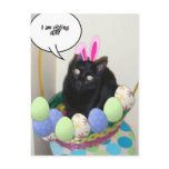Happy Easter Kitty Postcard