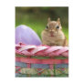 Happy Easter Little Chipmunk 2 Postcards