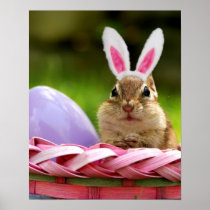 Happy Easter Little Chipmunk poster