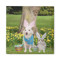 Happy Easter magnets